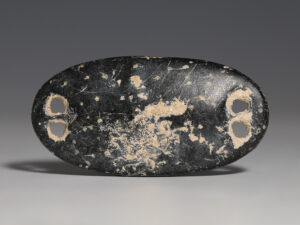 bactrian schist plaque with lion 4