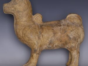 han dynasty terracotta mingqi of a dog 3