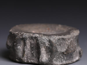 ichthyosaur vertebra