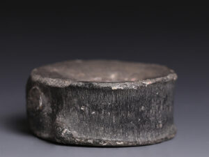 ichthyosaur vertebra