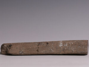 limb bone