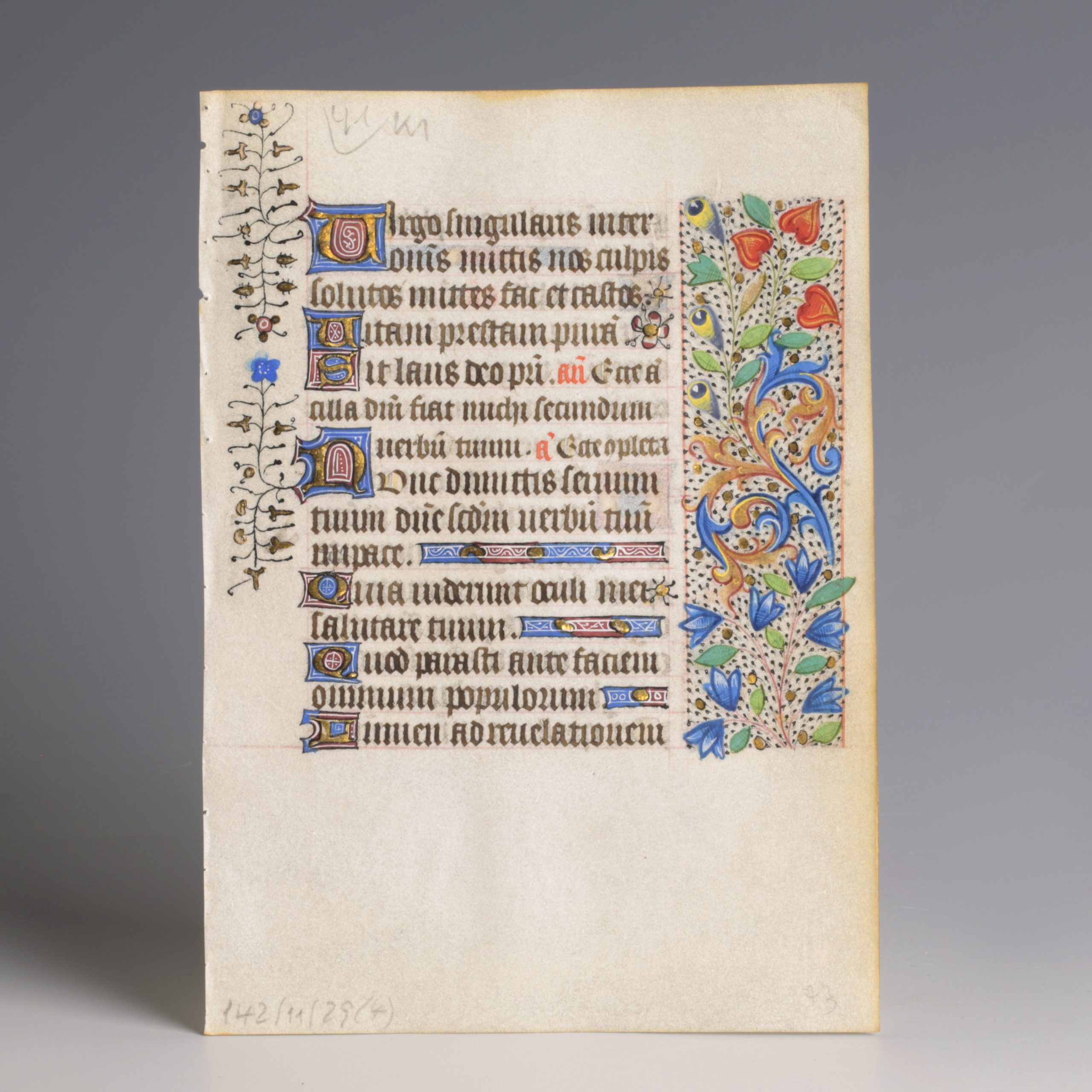 medieval manuscipt with flowers medieval manuscipt with flowers