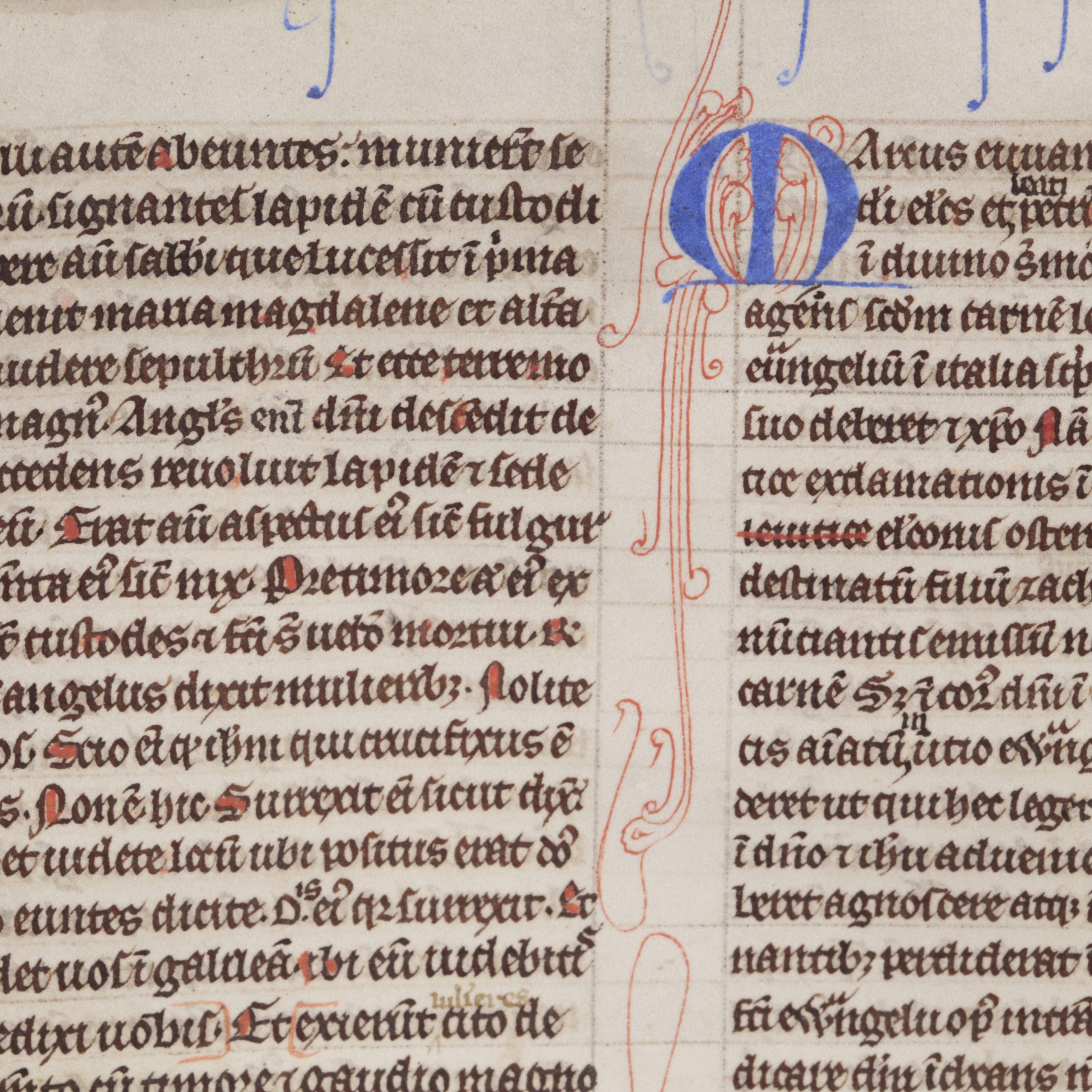 medieval manuscript with rabbit medieval manuscript with rabbit