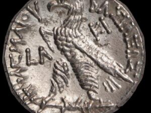 ptolemy vi philometor ar tetradrachm