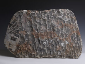 reverse of sheet