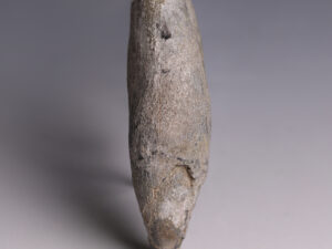 tooth-fossil