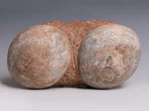 pair of fossilised dendrolithus hadrosaur dinosaur eggs.2