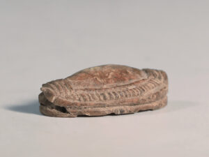 egyptian steatite scarab with tilapia 2