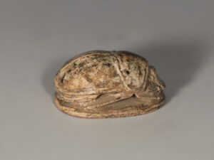egyptian steatite scarab dedicated to amun-re 3