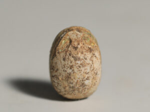 egyptian steatite scarab with apotropaic hieroglyphs 2