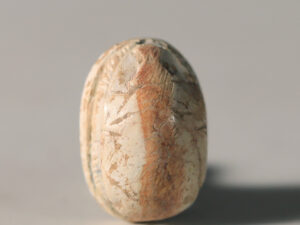 egyptian steatite scarab with apotropaic hieroglyphs 2 copy