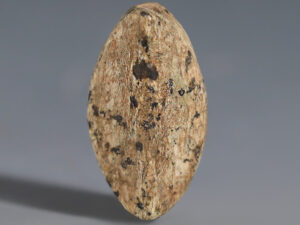 egyptian steatite cowroid featuring taweret