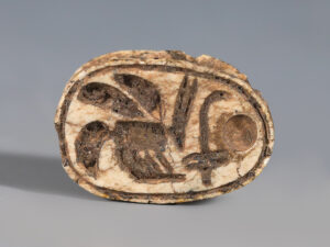 egyptian steatite scarab with royal title