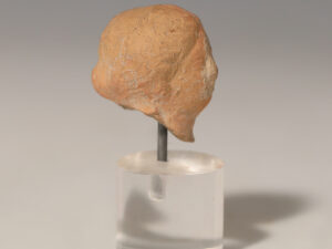 hellenistic terracotta female head fragment